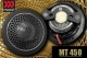 MOREL ELATE MT450