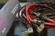 Street Audio RCA5