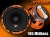 DL Audio Gryphon Pro 165 Midbass