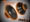 DL Audio Piranha12